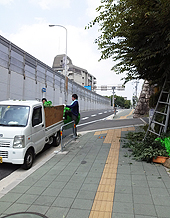 道路の剪定