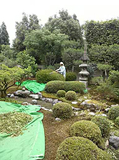 大きな庭の剪定