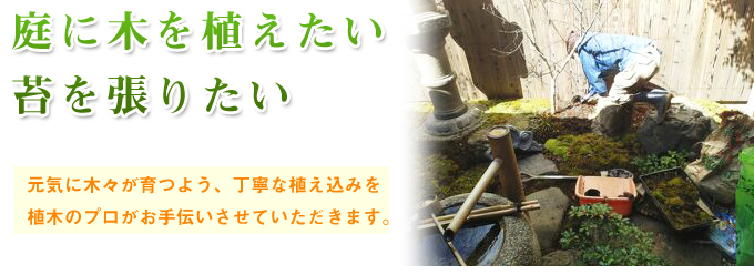 庭に木を植えたい（植え替え）、苔を張りたい｜植木屋は京都市北区の督二造園まで